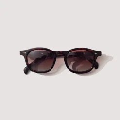 Sunglasses|Drypond Alves - Tortoise