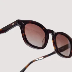 Sunglasses|Drypond Alves - Tortoise