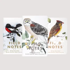 Lifestyle|Field Notes Birds and Trees of North America - Redstart