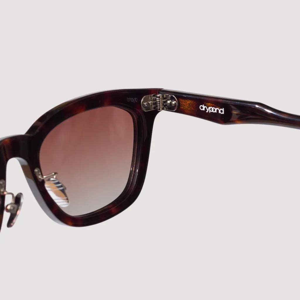 Sunglasses|Drypond Koya - Tortoise