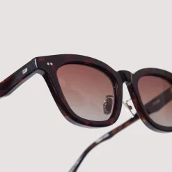 Sunglasses|Drypond Koya - Tortoise
